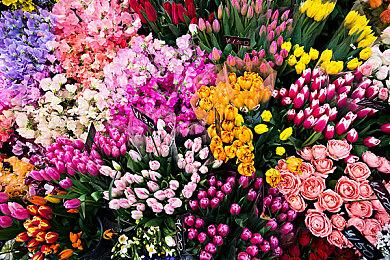 众多奖项入围名作 《骑士与单车KnightsAndBikes》 Steam＆Switch＆PS4＆X